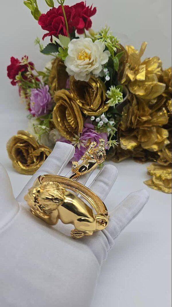 Bangle & Ring 21