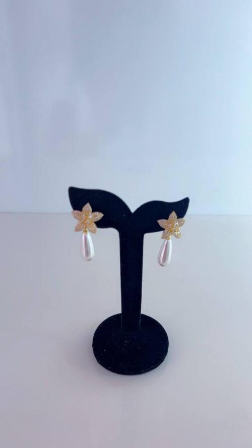 Earrings 1