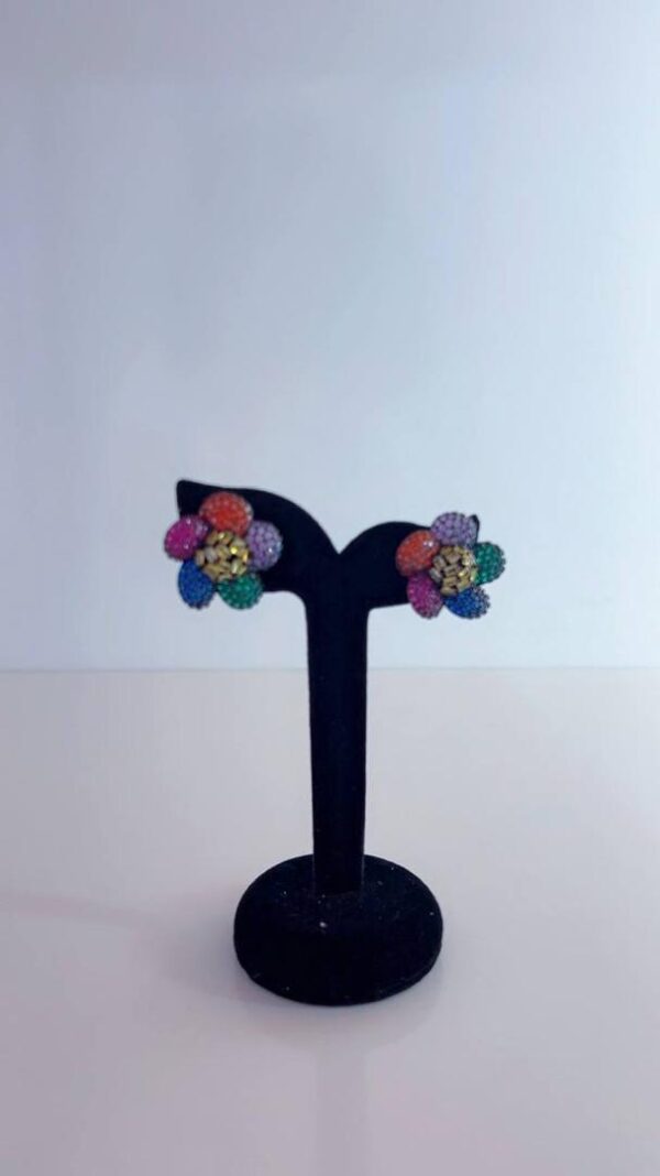 Earrings 22