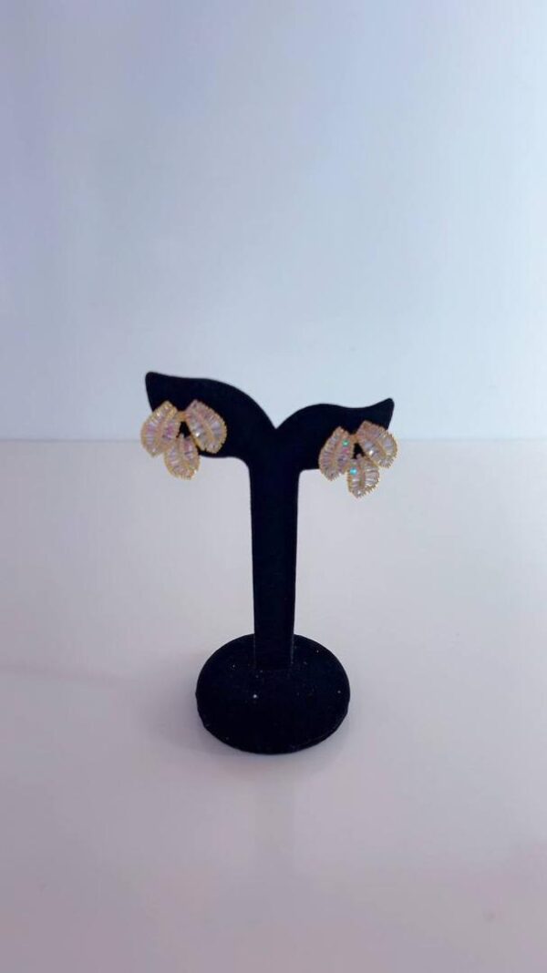 Earrings 25