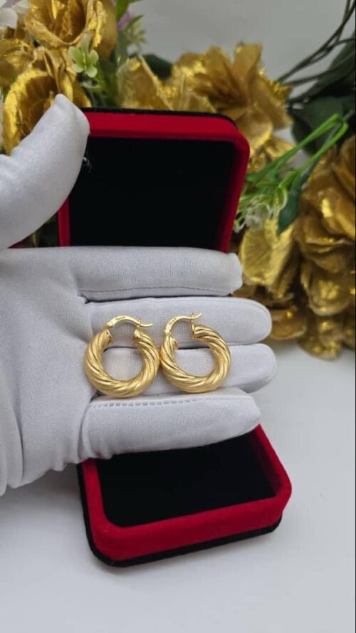 Earrings 30
