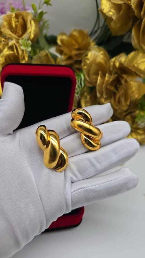 Earrings 31