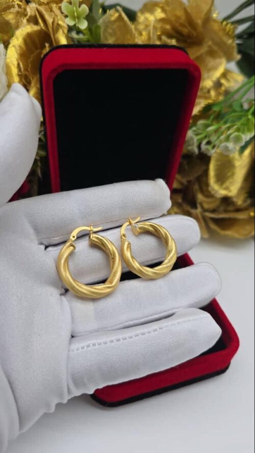 Earrings 35
