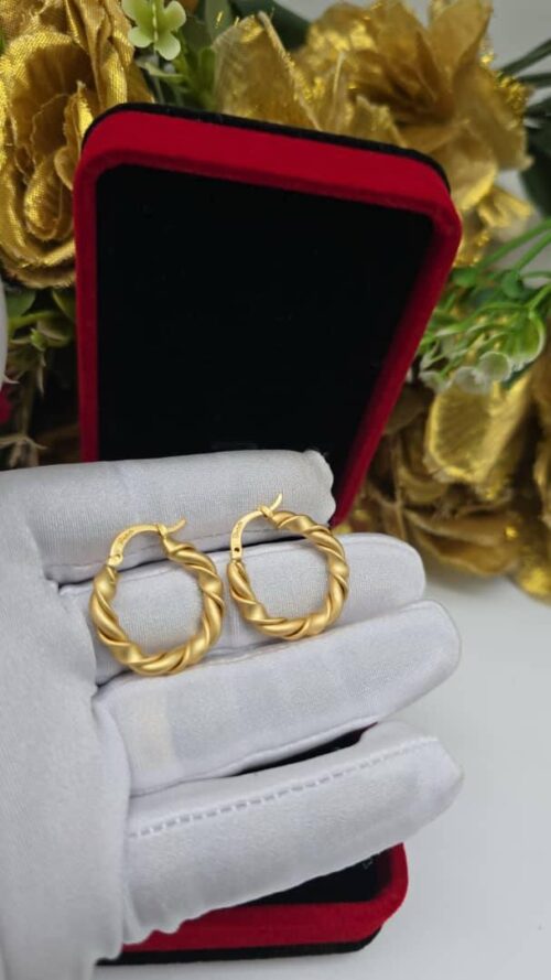 Earrings 37