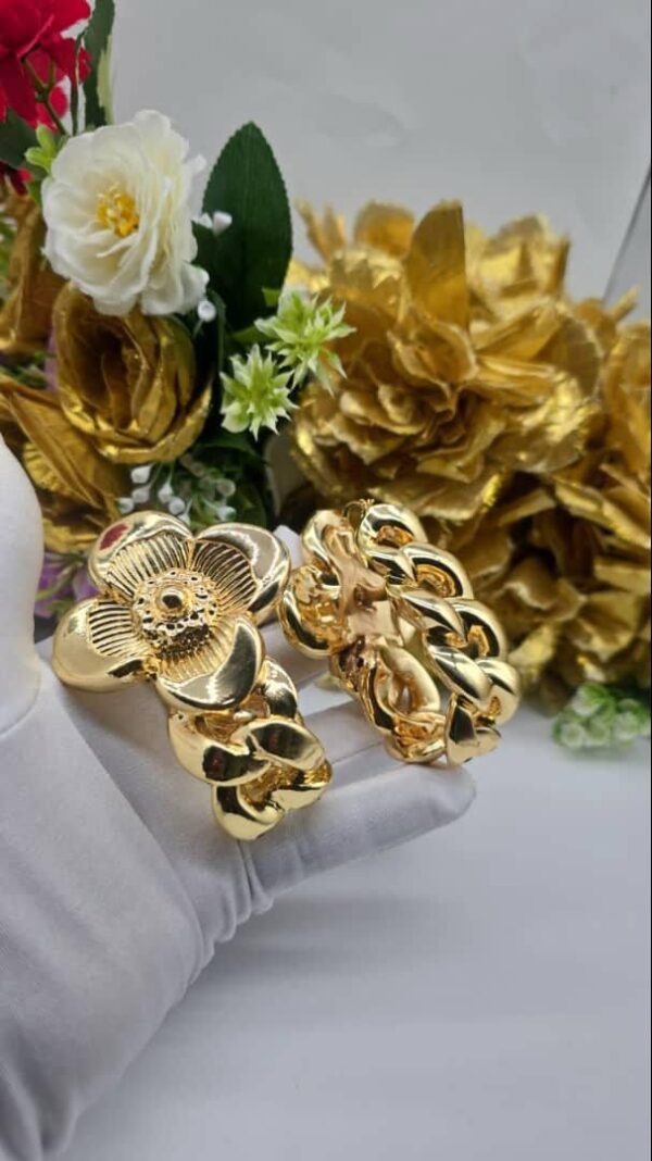 Earrings 46