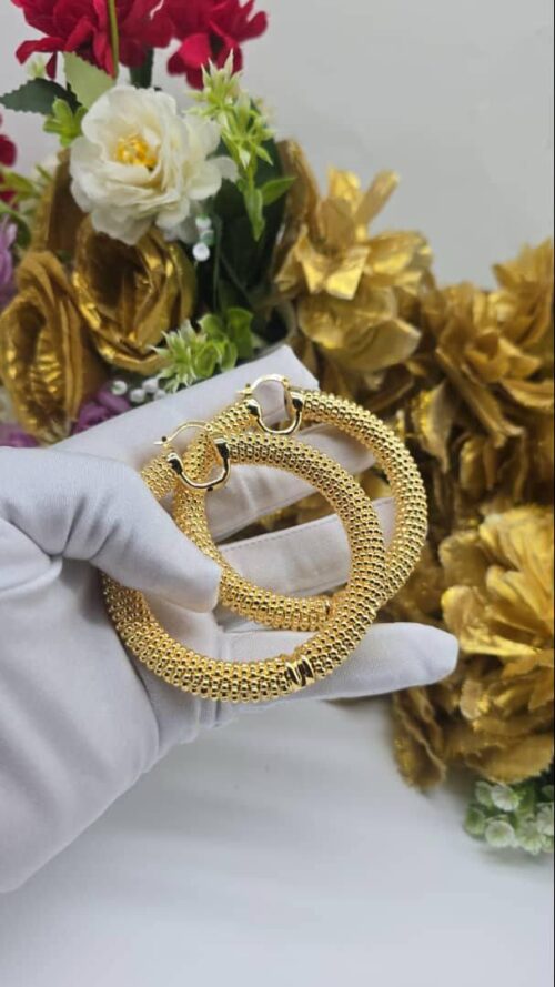 Earrings 47