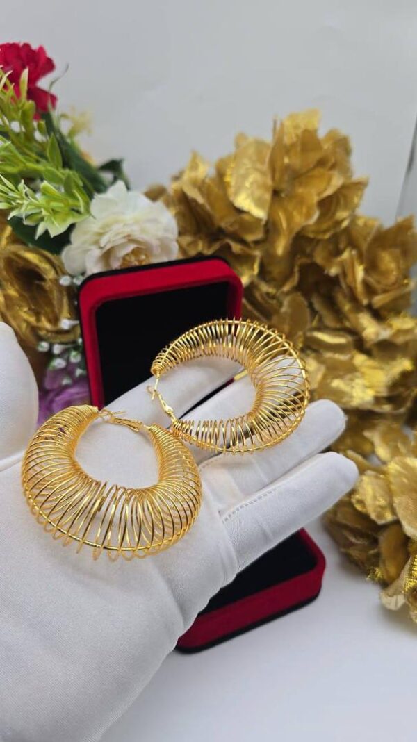 Earrings 50
