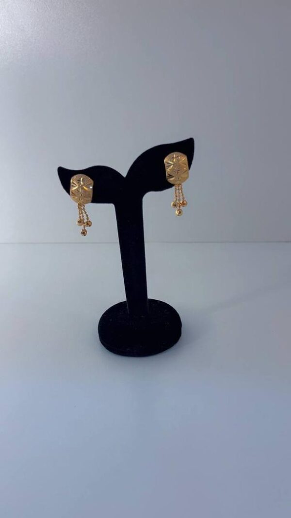 Earrings 66