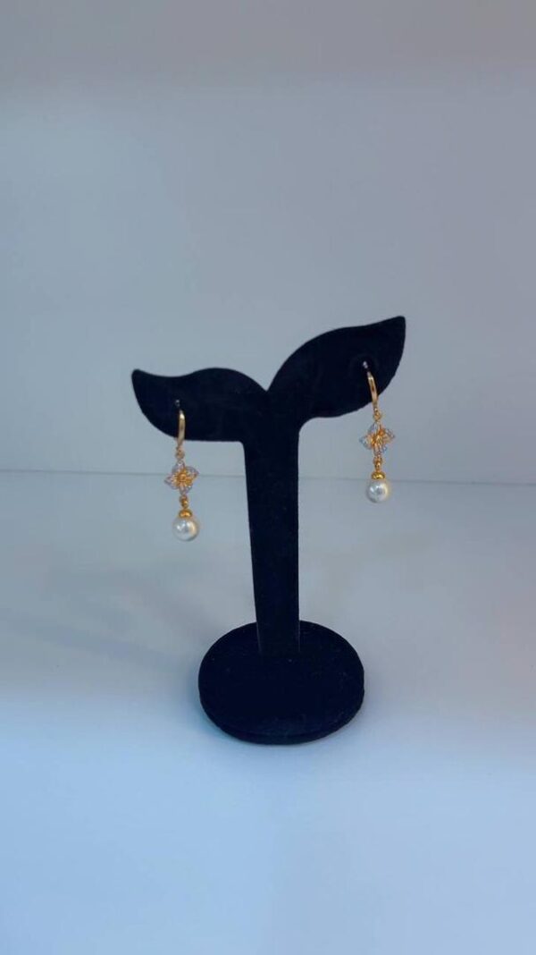 Earrings 67