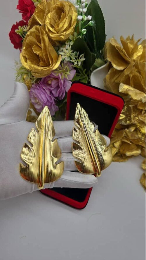 Earrings 69