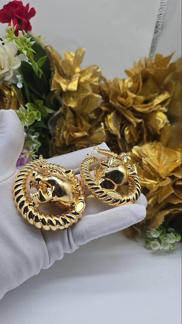 Earrings 72