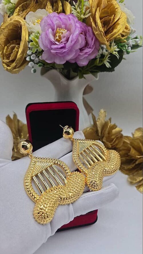 Earrings 73